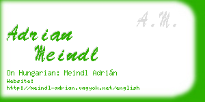 adrian meindl business card